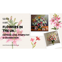 Send Lilies Flowers in the UK: Express Love, Sympathy & Celebration
